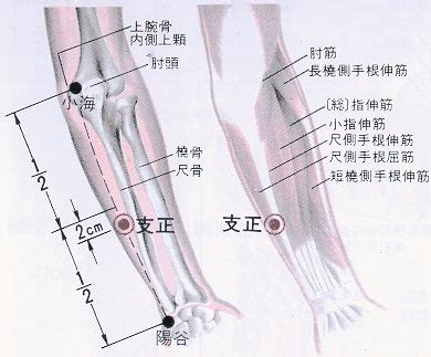 牽正穴|醫砭 » 經穴庫 » 牽正